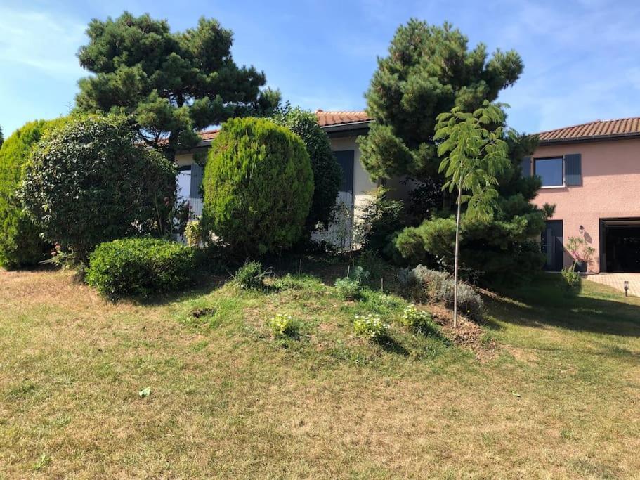 Logements Chaleureux Dans Maison Avec Piscine A 35 Min De Lyon Alix エクステリア 写真